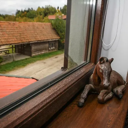 Farm stay Stajnia Lesna Osada *